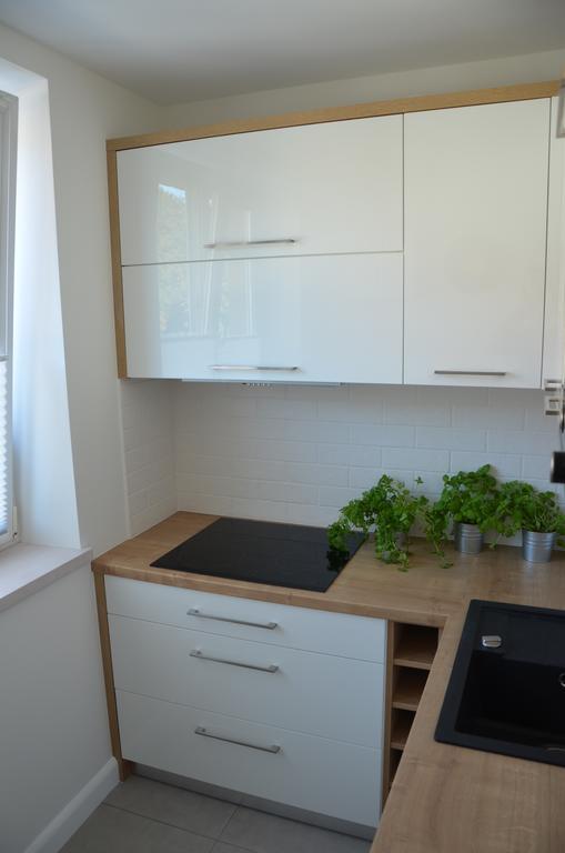 Apartament Na Starowce Grobla I Gdansk Room photo